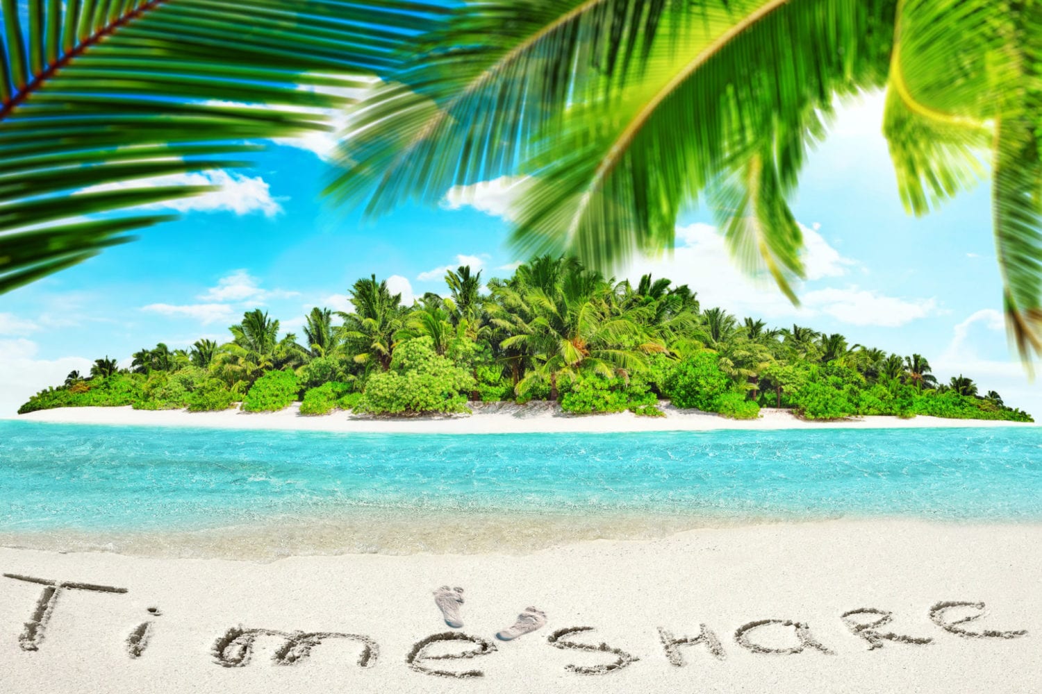 timeshare transfer