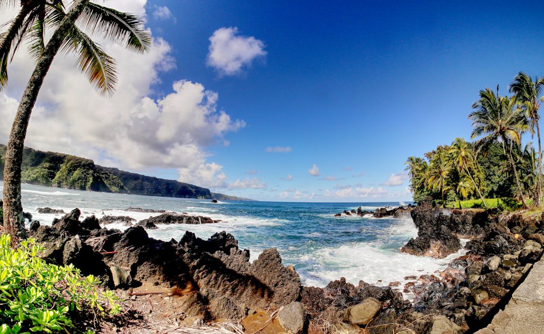Timeshare Exit Strategies: How to Break Free from Your Contract